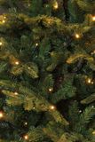 BlackBox Kunstkerstboom Frasier LED D147H230cm GRN