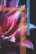 In Libri GmbH Photography Guide- In Macro We Trust