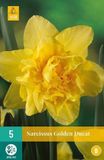 Jub X 5 Narcissus Golden Ducat