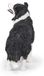 Figurine de chien border collie