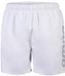 Arena Zwemshort Fundamentals Logo R Wit/Goud Mannen M