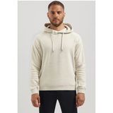 Dstrezzed Ds_damien Hoody Silver Birch