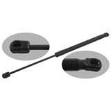 febi bilstein 31674 Gasveer voor achterklep, pak van één