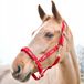 Merkloos / Sans marque Horze Paardrijhalster Neopreen Gevoerd Rood COB