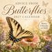Advice from Butterflies Calendar 2027 - 2028