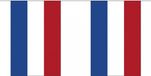 Merkloos / Sans marque Shoppartners Bv Vlaggenlijn Nederland - 3x - 3 meter - polyester - 10 vlaggetjes - voor binnen en buiten