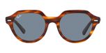 Ray-Ban Gina Rb 4399