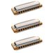 Hohner Blues Harp MS pack débutant harmonica C-A-G (Do-La-Sol)