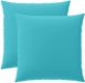 vidaXL Kussen 2 stuks HEERLEN Turquoise 65 x 65 cm Polyester