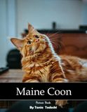 Maine Coon: Large Cat, Fluffy Tail, Tufted Ears, Gentle, Majestic and More