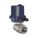 RIEGLER 103705-350.2815R 2-weg messing kogelkraan, elektrische aandrijving, 24 V DC, Rp 2, 1 stk