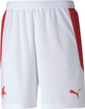 Puma Sks Heren Shorts, model 75806601