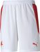 Puma Sks Heren Shorts, model 75806601