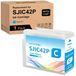 Epson SJIC42P Cyan cartouche d'encre, 80 ml, adapté pour ColorWorks C4000e/C4030/C4000/C4020/C4040