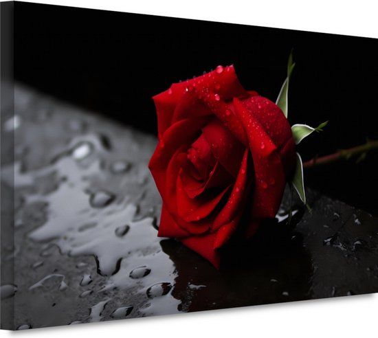 Merkloos / Sans marque Rozen Wanddecoratie - Bloemen Portret Canvas Schilderij - 60x40cm