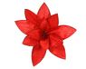 Everlands Poinsettia pesfluweel d30h15 cm rood
