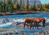 Cobble Hill Puzzle Paarden Dieren - 1000 Stukjes