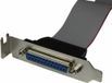 StarTech Low-Profile 40cm Parallelle Poort Verloopkabel met Bracket – DB25 (F) naar IDC26