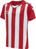 Hummel Kindersportshirt Hmlcore Xk gestreept jersey S/S Kids 212642