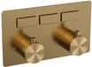 Brauer Gold Edition - 3 voies - Thermostat encastrable - Boutons poussoirs - Or brossé PVD