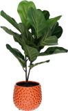Mega Collections Plantenpot/bloempot Pebblo - keramiek/geglazuurd - oranje - druppels - D17 x H15 cm