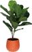 Mega Collections Plantenpot/bloempot Pebblo - keramiek/geglazuurd - oranje - druppels - D17 x H15 cm