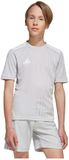 Adidas Campeon 25 T-shirt Met Korte Mouwen Grijs 7-8 Years Kinderen