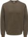 ONLY & SONS Sweatshirt ONSLARRY Sweatshirt