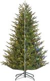 Black Box Sapin de Noël Frasier x-mas tree led vert ww/multi 480l branches 3208 timer/dimmer h230xd147cm