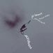 Acrobats Jo Lawry - Acrobats (LP)