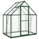 Serre avec cadre de base 169x114x195 cm aluminium vert