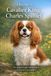 Alles Andries B.V. Alles over de Cavalier King Charles Spaniel