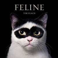ABRAMS UK Feline: Photographs (Hardcover) - Tim Flach, Jonathan Losos (23 oktober 2025)