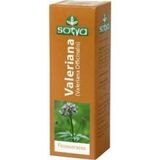 EXTRACTO Sotya Valeriana Extracto Glicerinado 60 Ml