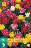 jub X 10 Tulipa Dubbel Vroeg mix