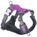 Red Dingo Harnais Chien, 47-73 cm, 56-80 cm, violet, L