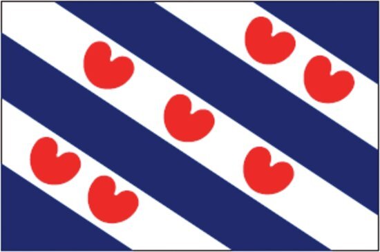 Talamex Friese vlag 40 x 60 cm