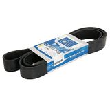 DT Spare Parts 1.21867 geribbelde V-riem voor SCANIA K - serie