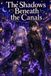 The Shadows Beneath the Canals: A Dark Anime Fantasy Adventure