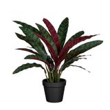 Mica Decorations Kunstplant Calathea