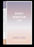 Bewust Bol De essentie van meditatie 1 - Bewust bewustzijn zijn