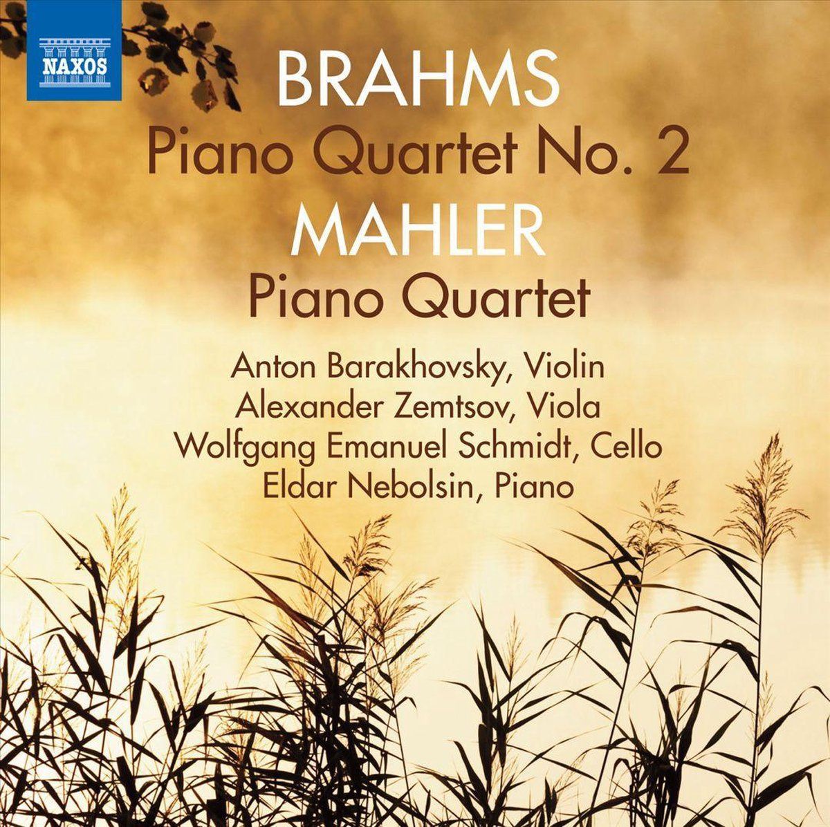 OUTHERE Brahmsmahlerpiano Quartets - Muziek - 0747313279975