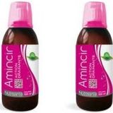 Nutrisante Amincir action drainante 500 ml Lot de 2