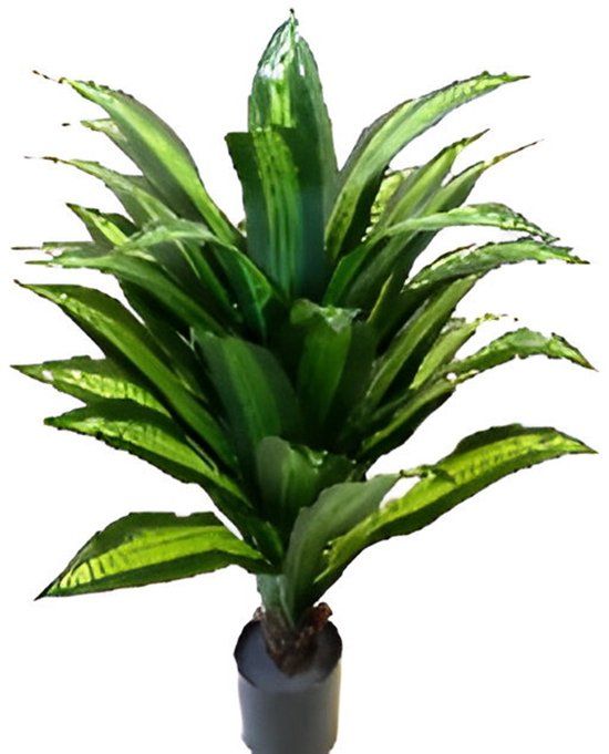 Oosterik Home Dracaena groen 100 cm kunstplant