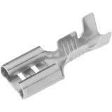 Vogt Verbindungstechnik 3832.67 Fiche plate (femelle) Largeur d'insertion : 6,3 mm Épaisseur d'insertion : 0,8 mm 180° Non isolé Métal 1 pièce(s)