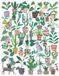 Pieces & Peace Puzzle Katten en Planten - 500 stukjes