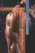 The Body Blueprint The Ultimate Shoulder Blueprint Paperback