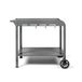 LIVOO Plancha-trolley - GS168G