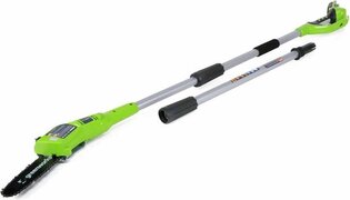 Greenworks Takkenzaagset met 24 V 2 Ah accu G24PS20 20 cm 2000107UA