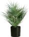 EUROPALMS Fächerpalme, Kunstpflanze, 55cm